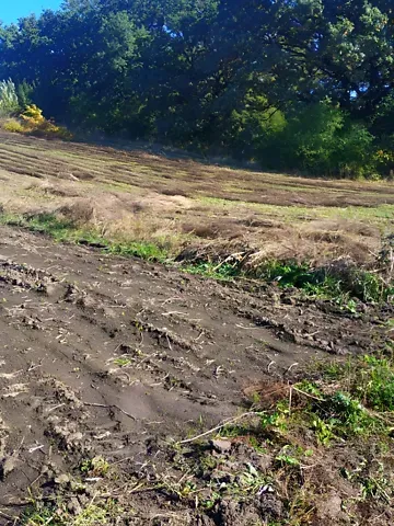 Продажа земельного участка  площадь 54 сот Лісна бічна вулиця  - изображение 4