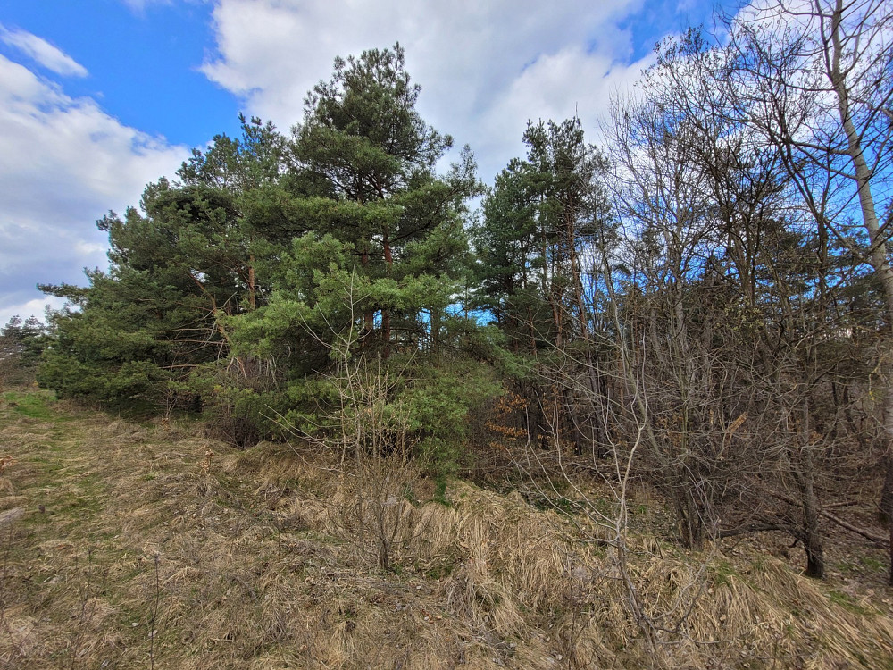 Продаж земельної ділянки 1.87 га Kolodiivka - photo 3