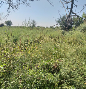 Продаж земельної ділянки 0.3 соток на ул. Молодцова-Бадаєва, 3м Нерубайське - фото 3