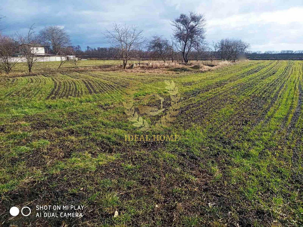 Продаж земельної ділянки 12 соток на Ярослава Мудрого ул., 6 Uzyn - photo 1