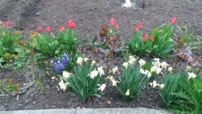 Продаж земельної ділянки 0.1 соток на переулок 2-й Китобойный, 4 Одеса - фото 8