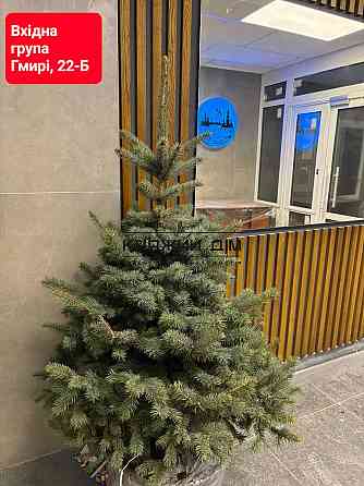 Продаж Квартира 2-кімнатна, 20/25 поверх на Бориса Гмирі Киев