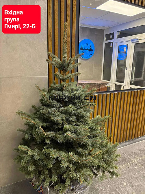 Продаж Квартира 2-кімнатна, 20/25 поверх на Бориса Гмирі Киев - изображение 2