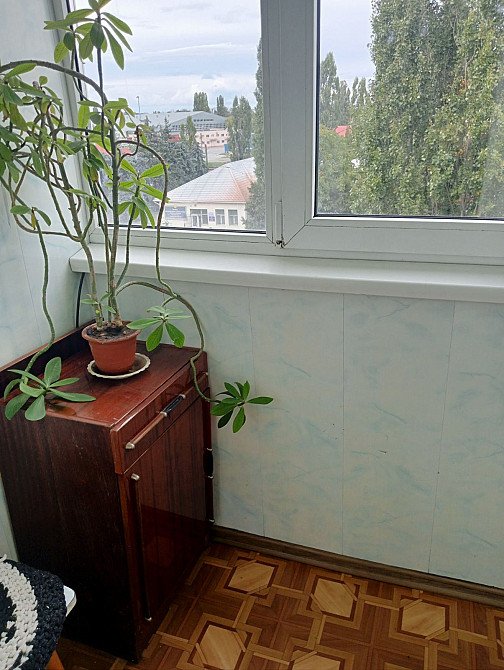 ГОТОВОЕ ЖИЛЬЕ В ЦЕНТРЕ УСАТОВО! 3-к квартира с мебелью и техникой!  - фото 6