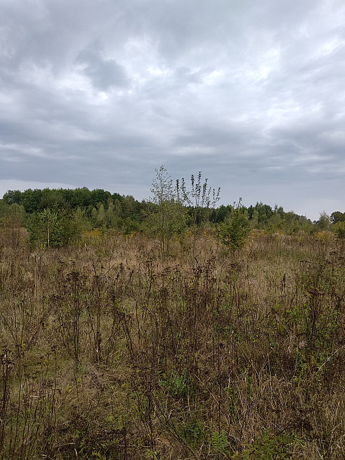 Продаж земельної ділянки 35.3 соток Pavlivka - photo 3