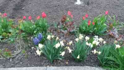 Продаж земельної ділянки 0.1 соток на вулиця Академика Вильямса, 33 Одеса