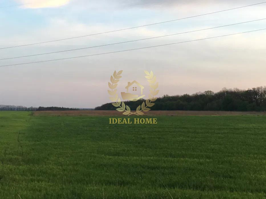 Продаж земельної ділянки 2.7 га Horenychi - photo 1