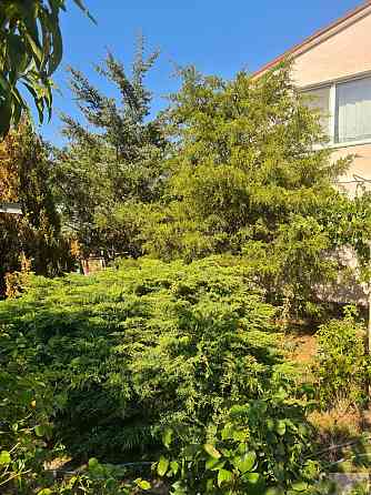 Уютный дом с садом в Новой Долине. До Одессы 15 минут. Нова Долина