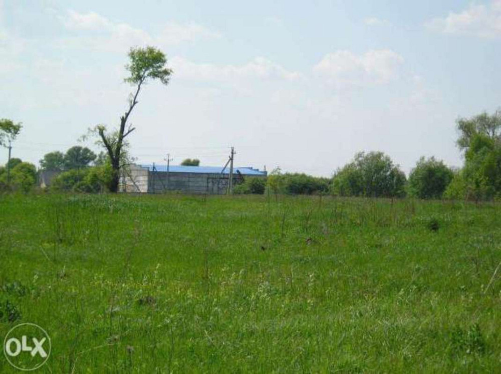 Продаж земельної ділянки 15 соток Іванків - фото 1