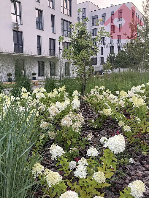 Продаж Квартира 1-кімнатна, 5/7 поверх на Волошина Минай - фото 8