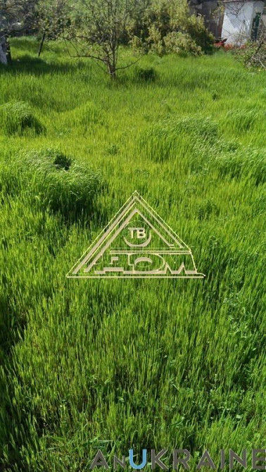 Продам дом на границе Усатово-Нерубайское Нерубайське - фото 6