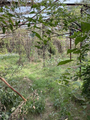 Продаж земельної ділянки 0.1 соток на ул. Макарова, 62 Odessa - photo 4