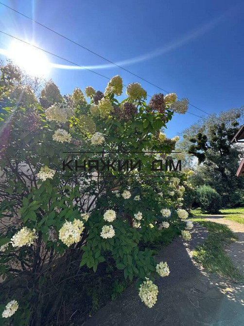 Без Комісії продаж будинк 169 кв.м. ТГ Золочівська Святище КОД № 2211787 Киев - изображение 4