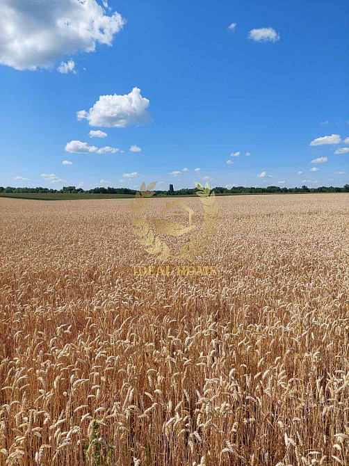 Продаж земельної ділянки 2.32 соток на Горная ул.  - фото 3