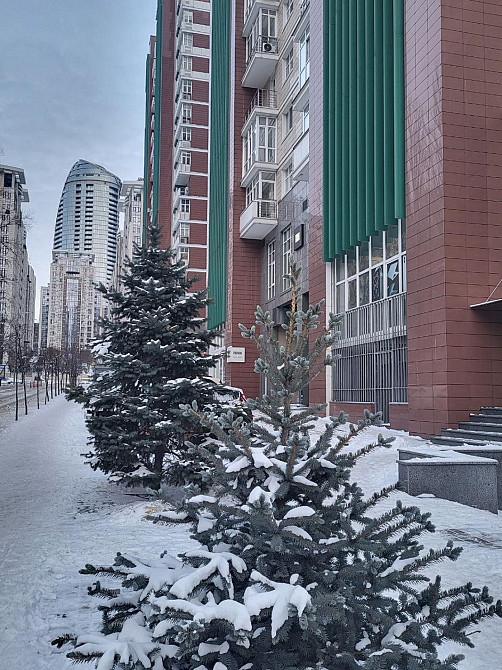 Продаж Квартира 3-кімнатна, 10/18 поверх на Філатова Академіка вул., д. 2/1 Київ - фото 12