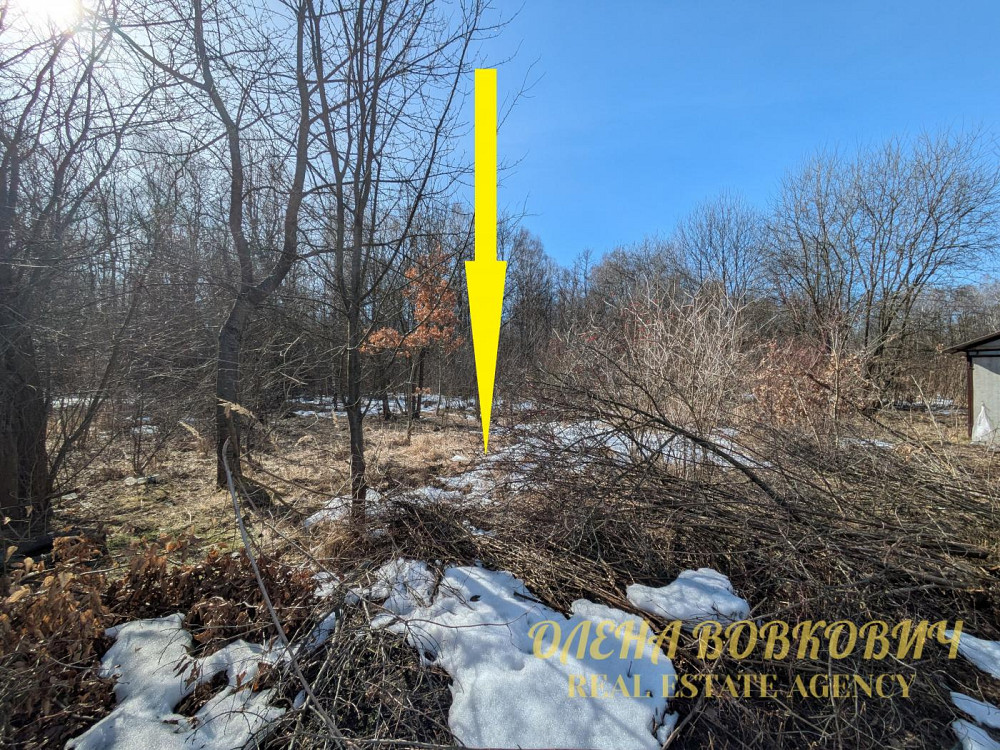 Продаж земельної ділянки 5.51 соток Pavlivka - photo 8