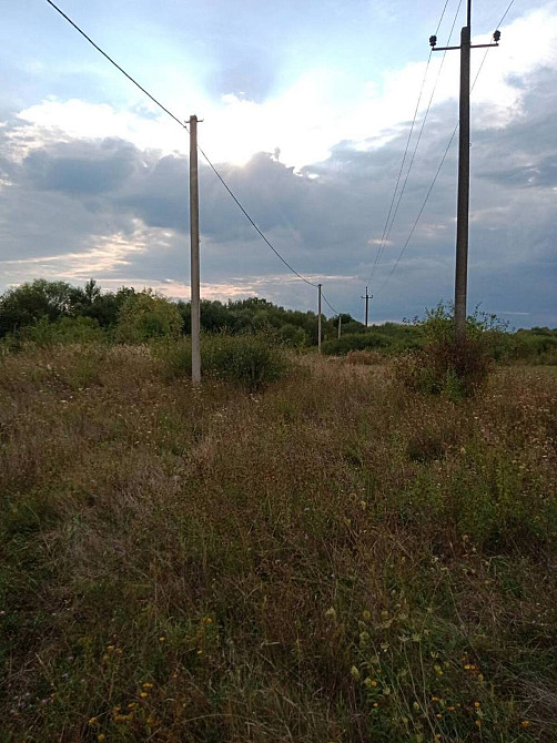 Продаж земельної ділянки 11.33 соток  - photo 4