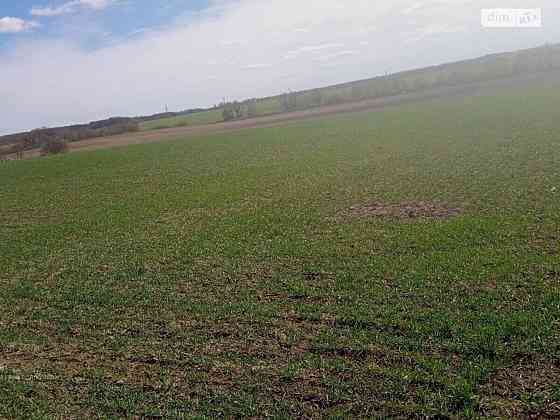 Продаж земельної ділянки 16 соток на Хмельницьке шосе Вінниця