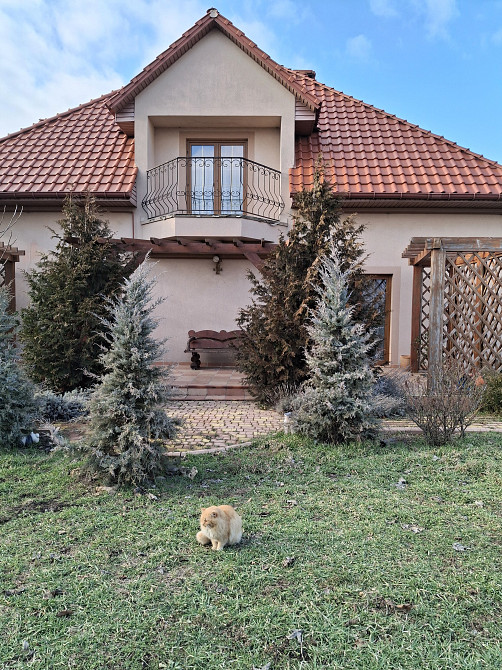 Продам капитальный дом в с.Холодная Балка. Холодна Балка - фото 4