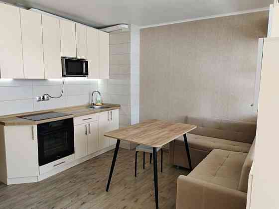 Оренда Квартира 1-кімнатна, 14/25 поверх на вул.Приміська, 24 Киев