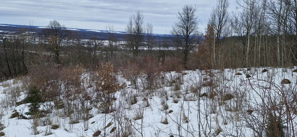 Продаж земельної ділянки 29 соток Жураки - фото 8