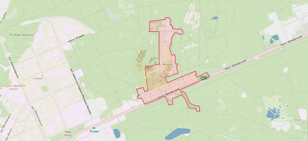 Продаж Квартира 1-кімнатна на Сосновая ул., 2 Київ - фото 14