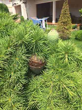 Продаж Будинок Odessa