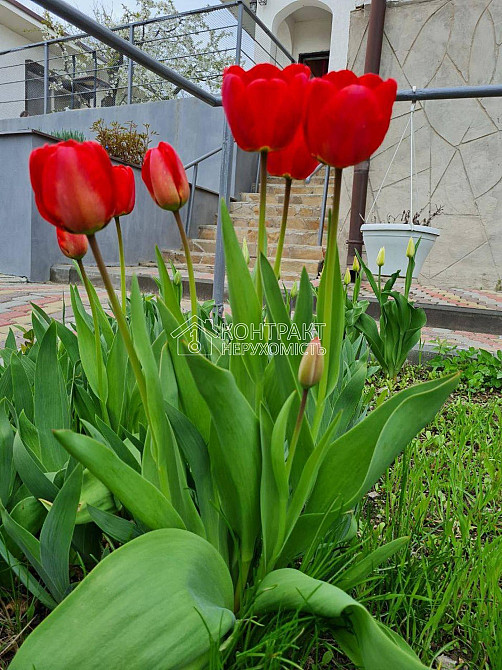 Продаж Будинок 5-кімнатний на вул. Конституції Мерефа  - изображение 4