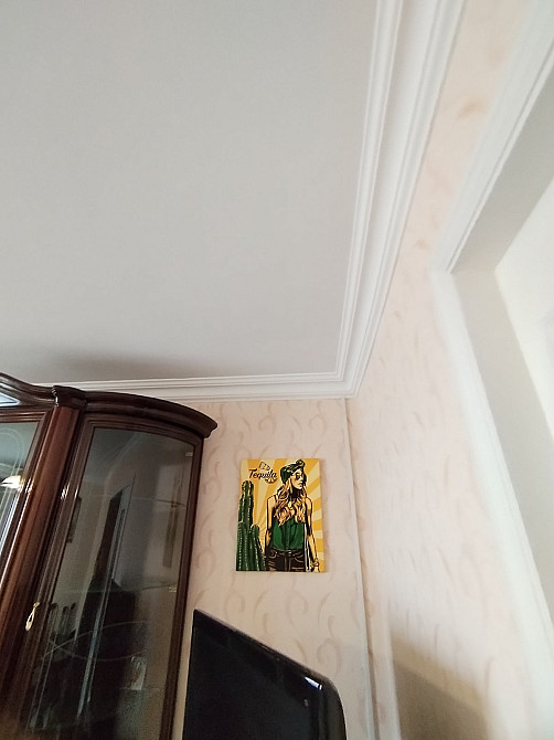 3-комнатная квартира на 5-й Фонтана, кирпичный дом, с мебелью и техникой Одеса - фото 16