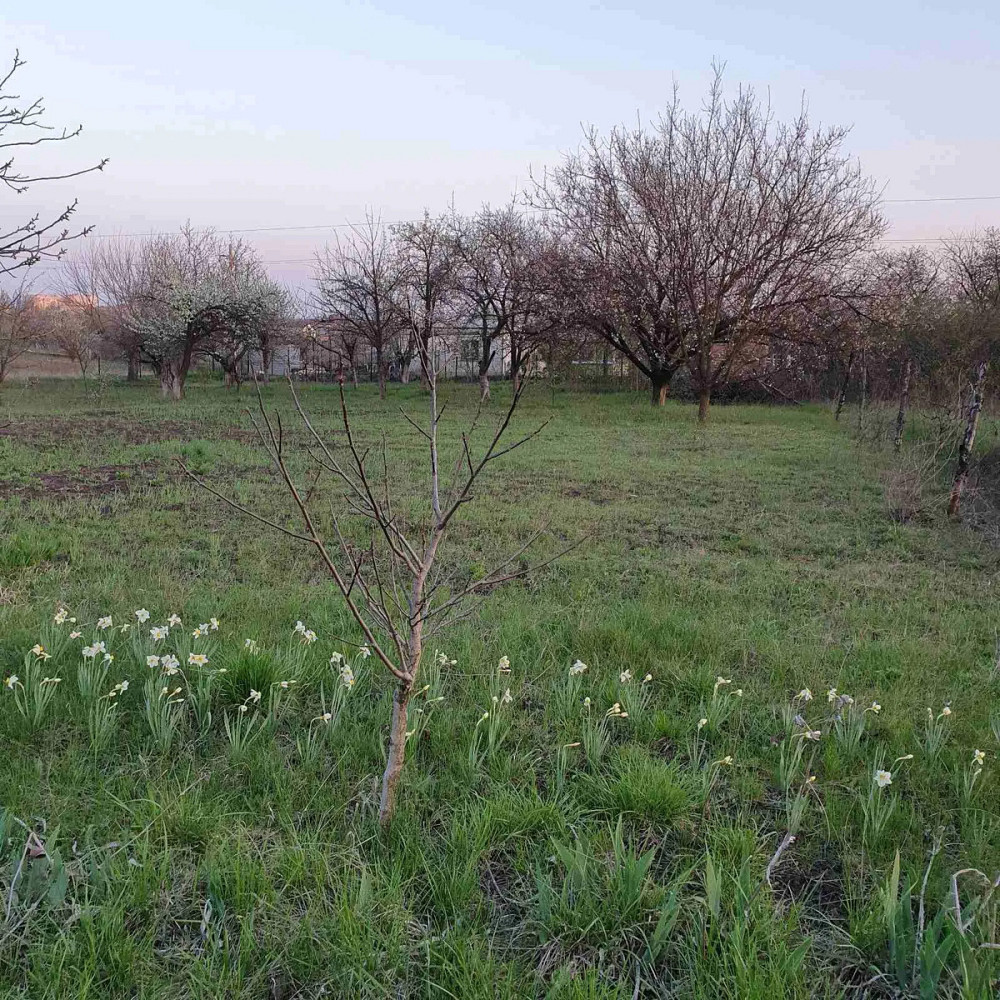 Продаж земельної ділянки 15 соток на АН Купи Дім Кропивницький - фото 2