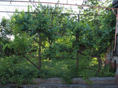 Продаж земельної ділянки 0.1 соток на ул. Пирогова, 24а Нерубайське - фото 3