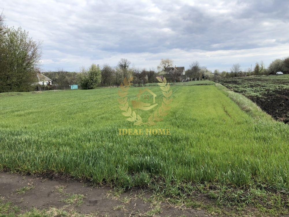 Продаж земельної ділянки 61 соток на Полевая ул., 3 Ustymivka - photo 10