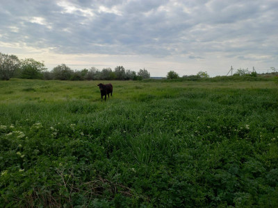 Продаж земельної ділянки 0 соток на ул. Комарова, 113 Нижній Куяльник - фото 1