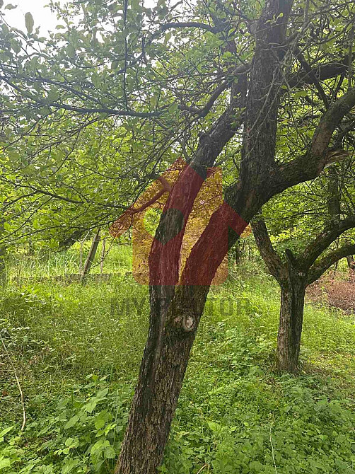 Продаж земельної ділянки 7 соток  - photo 5