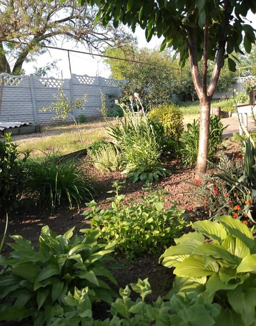 Продається будинок в Іличанці на 5 сотках землі.  - фото 10