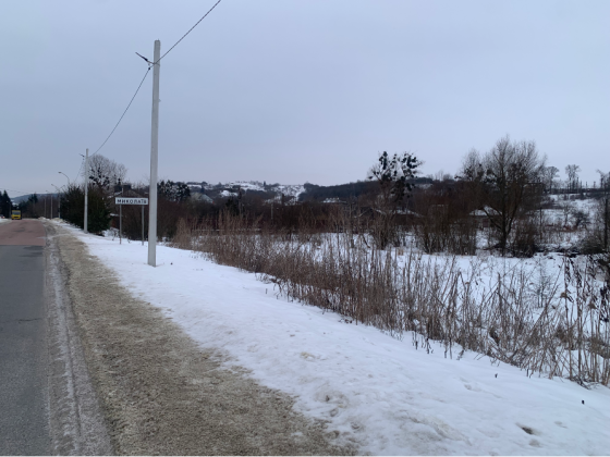 Продажа земельного участка Для сельскохозяйственной деятельности площадь 20 сот Шевченка Дроговиж