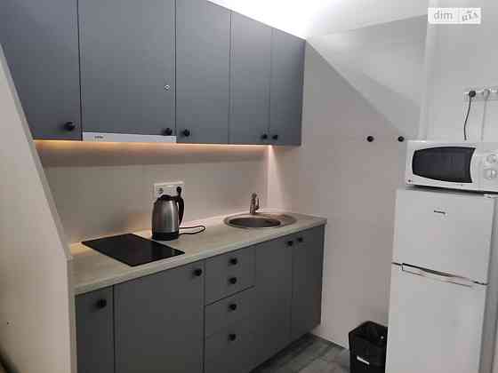 Оренда Квартира 1-кімнатна, 4/24 поверх на вул. Теремківська, 3А Киев