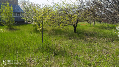 Продаж земельної ділянки 16.7 соток на ул. Центральная, 24 Усатове - фото 5