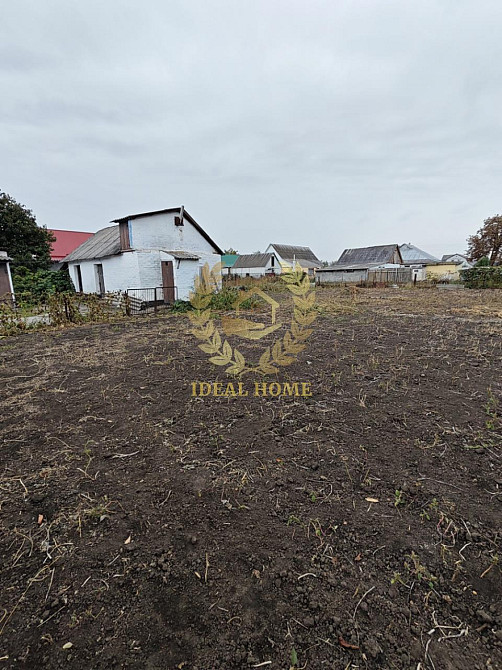 Продаж будинку с. Рокитне Rokitno - photo 13