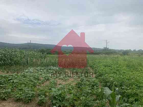 Продаж земельної ділянки 20 соток на Головна Uzhhorod