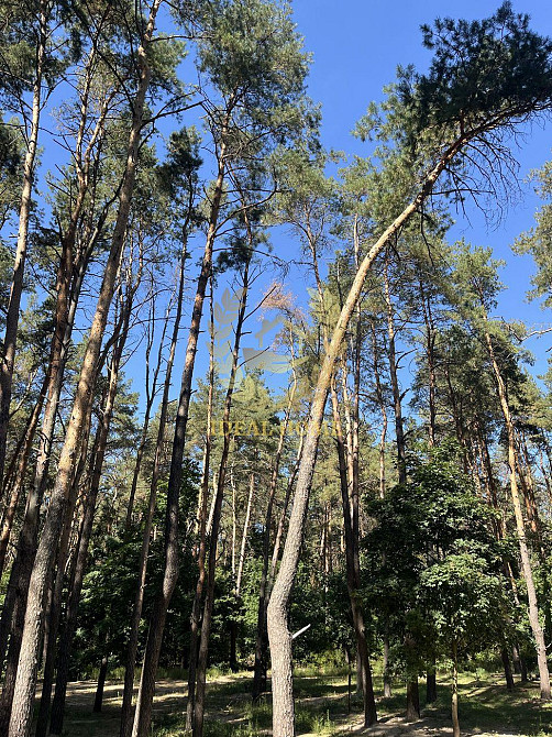 Продаж 1 кімн. квартири в ЖК Східна Брама Киев - изображение 13