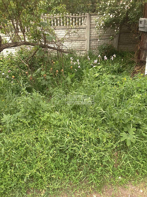 Продаж Будинок 5-кімнатний на вул. проспект Зеленогайський Высокий - изображение 18