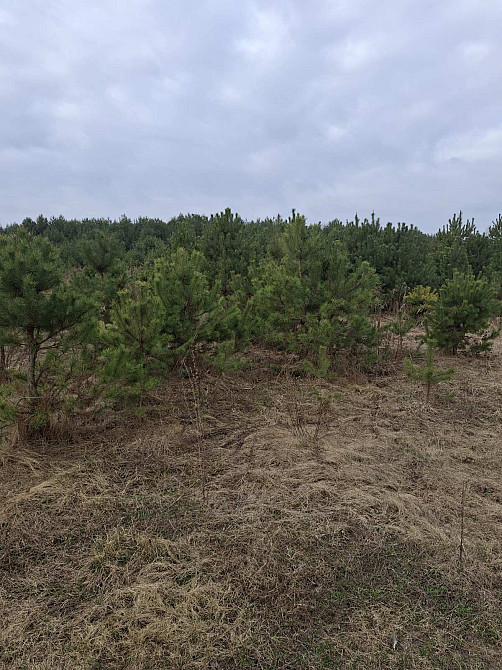 Продаж земельної ділянки 12 соток Kremenets' - photo 7