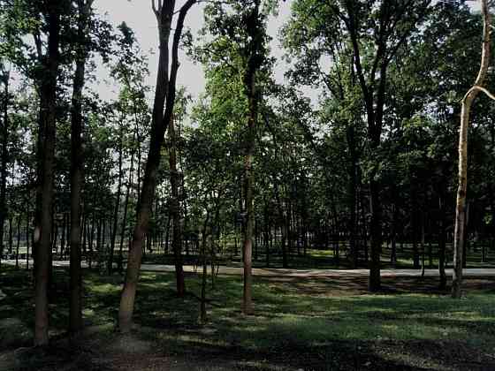 Оренда Квартира 1-кімнатна на ул. Генерала Жмаченко, 28 Київ