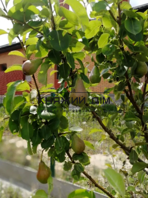 Продажа дома с. Михайловка-Рубежовка № 228889 Михайлівка-Рубежівка - фото 4