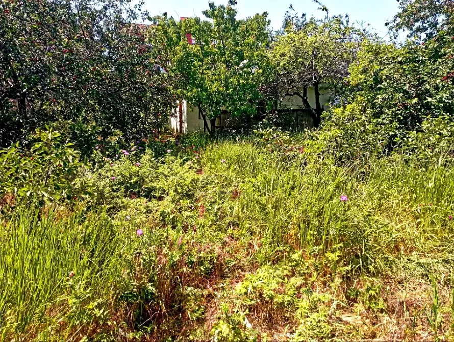 For sale land plot For the construction of a private residential building area 4.9 ares Мала Садова вулиця, 19 Odessa - photo 9