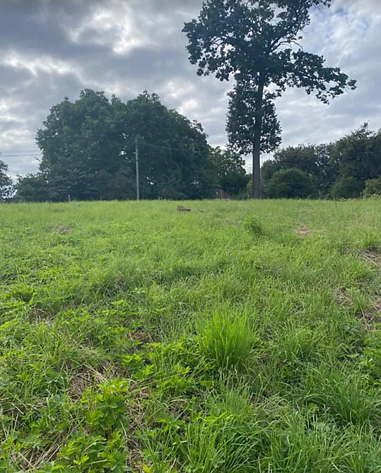 Продаж земельної ділянки 7 соток  - фото 3