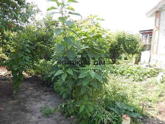 Продается дом 120 м2+5 соток Киевское море(ГЭС),между Вышгородом и Осещиной, в дачном массиве Вишгород