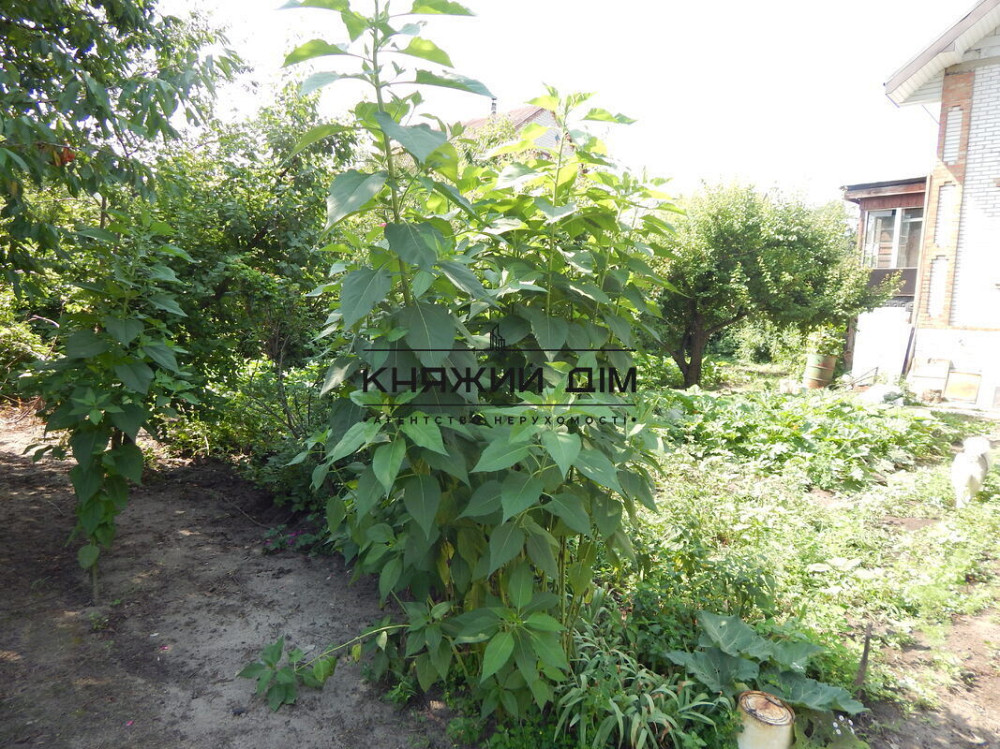 Продается дом 120 м2+5 соток Киевское море(ГЭС),между Вышгородом и Осещиной, в дачном массиве Вишгород - фото 2