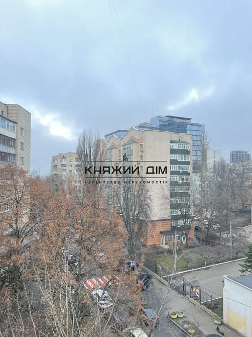 Продаж Квартира 1-кімнатна, 6/9 поверх на Рыбальская ул. Київ - фото 12